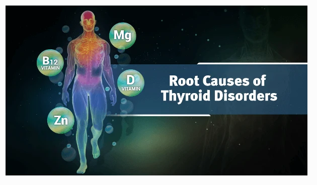 Ayurveda & Thyroid Health (Ayurveda on Root Causes of Thyroid, Diagnosis of Thyroid and Thyroid Diet) - Image 2