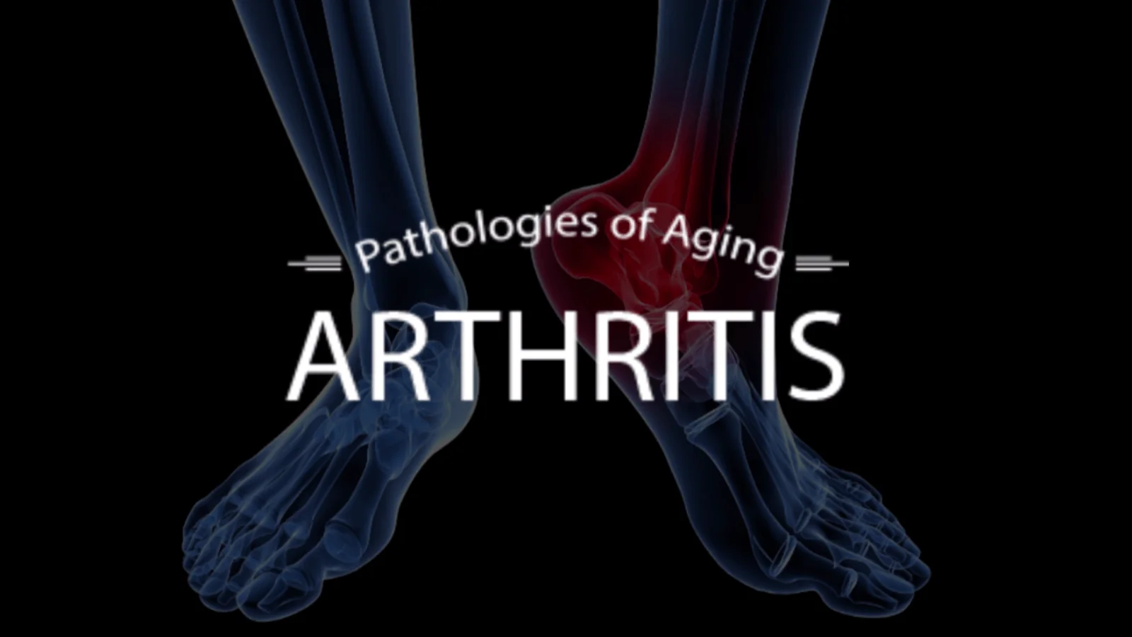 Ayurveda & Anti-Aging (Secrets of Ayurveda and Chinese Medicine - Diet and Herbs for Anti Aging) - Image 6