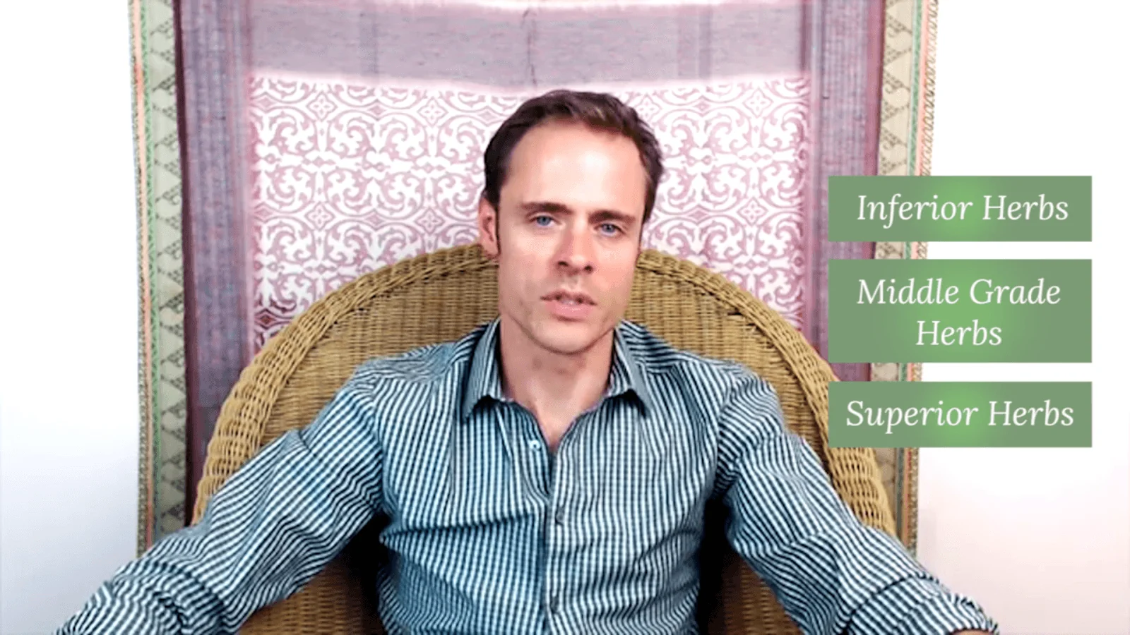 Ayurveda & Anti-Aging (Secrets of Ayurveda and Chinese Medicine - Diet and Herbs for Anti Aging) - Image 7