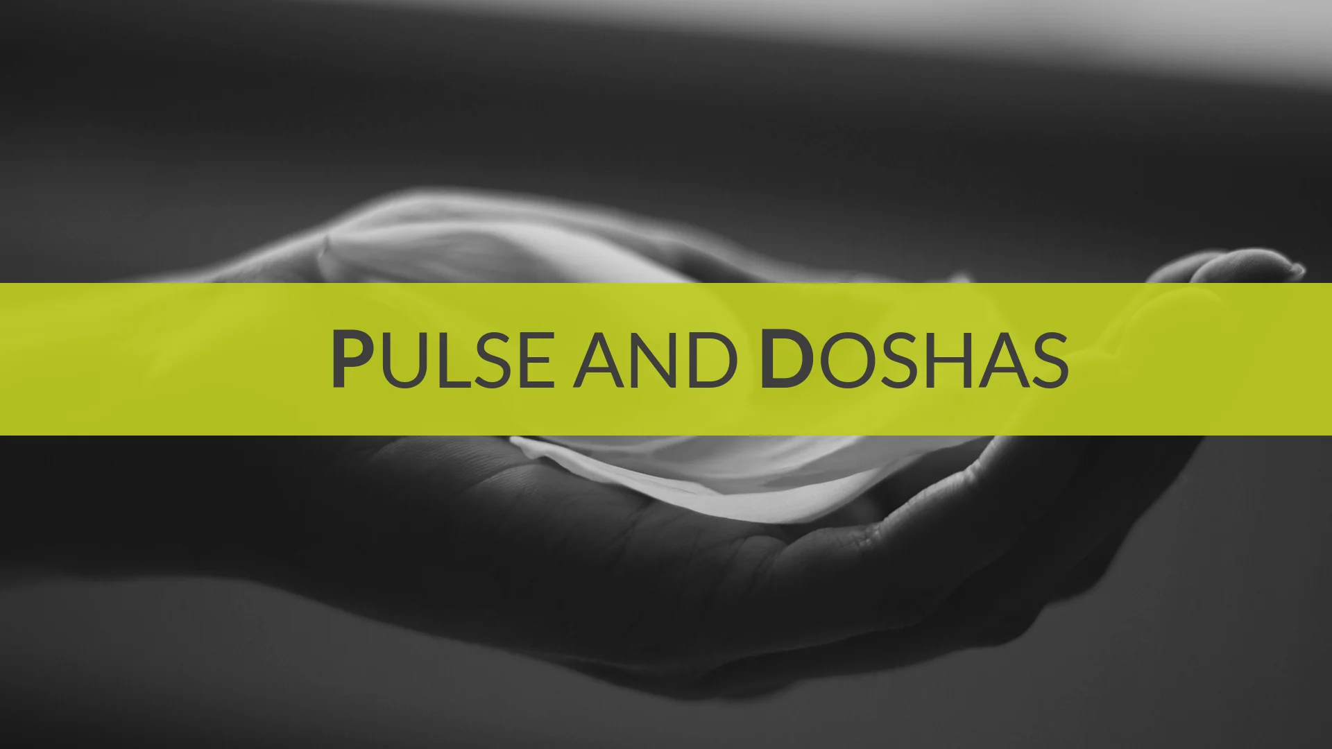 Ayurveda & Pulse Reading - Image 6