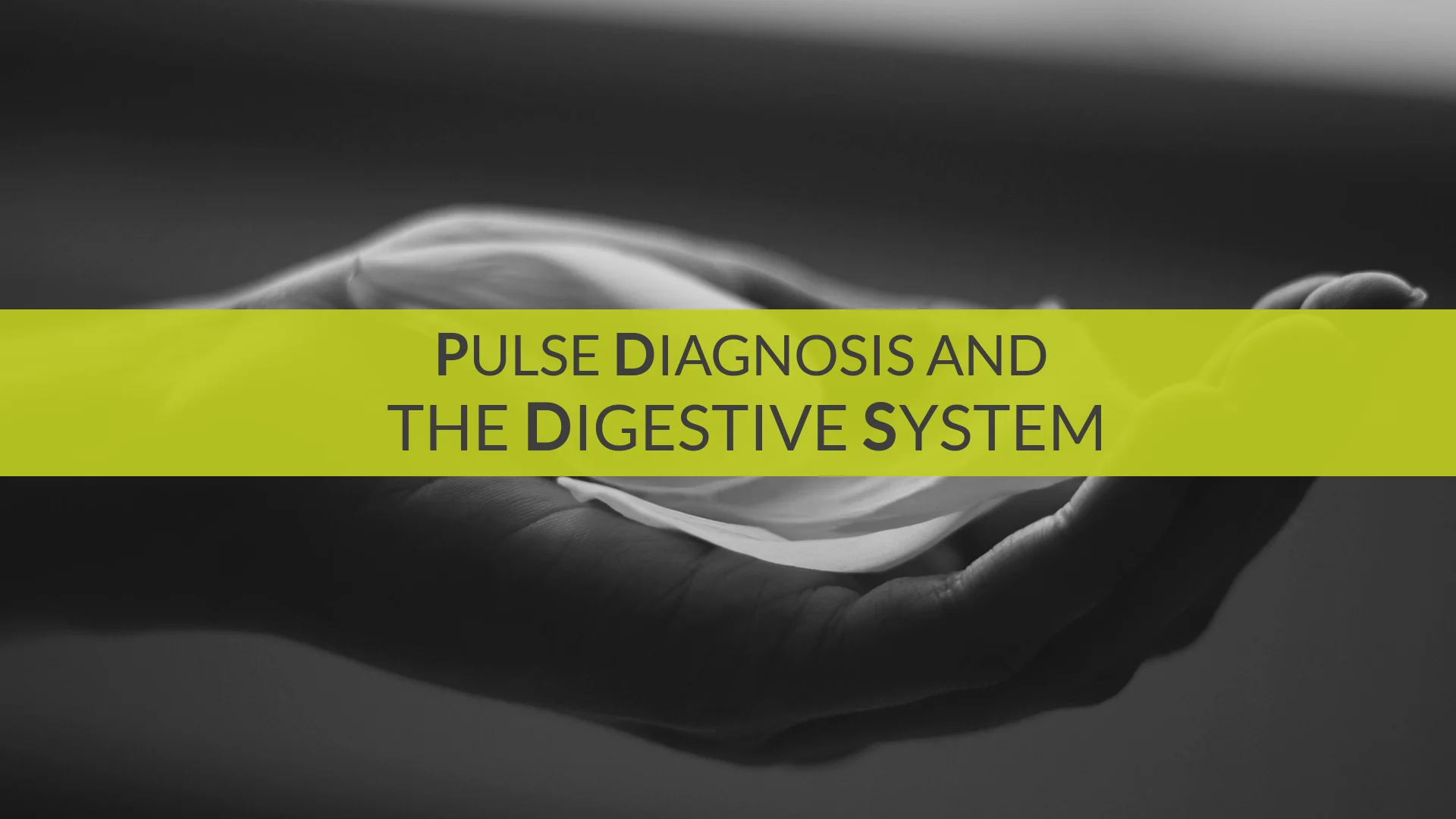 Ayurveda & Pulse Reading - Image 7