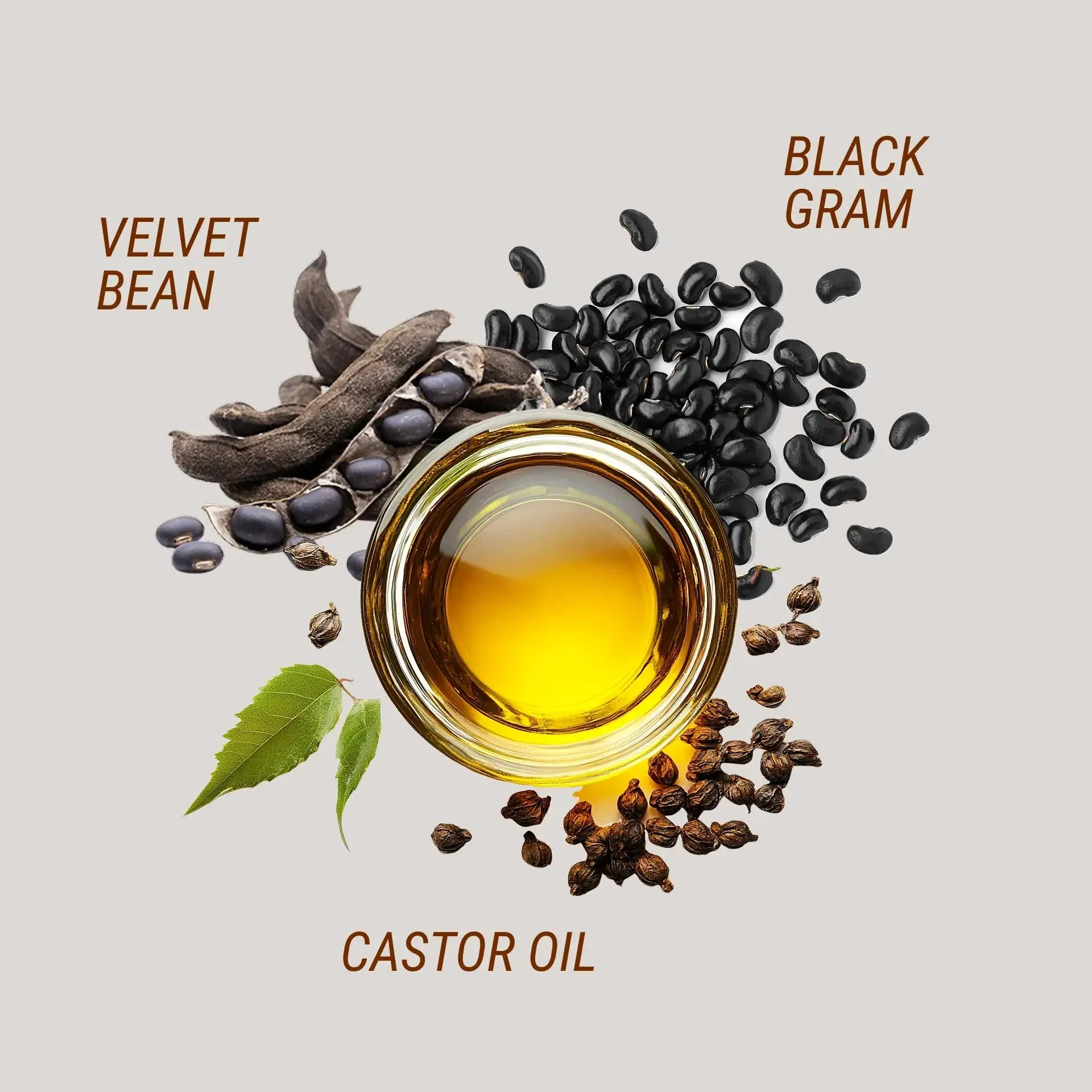 Balaayah Black Gram Body Booster - Skin-Firming, Ayurvedic Body Oil for Saggy, Crepey Looking Skin - Image 4