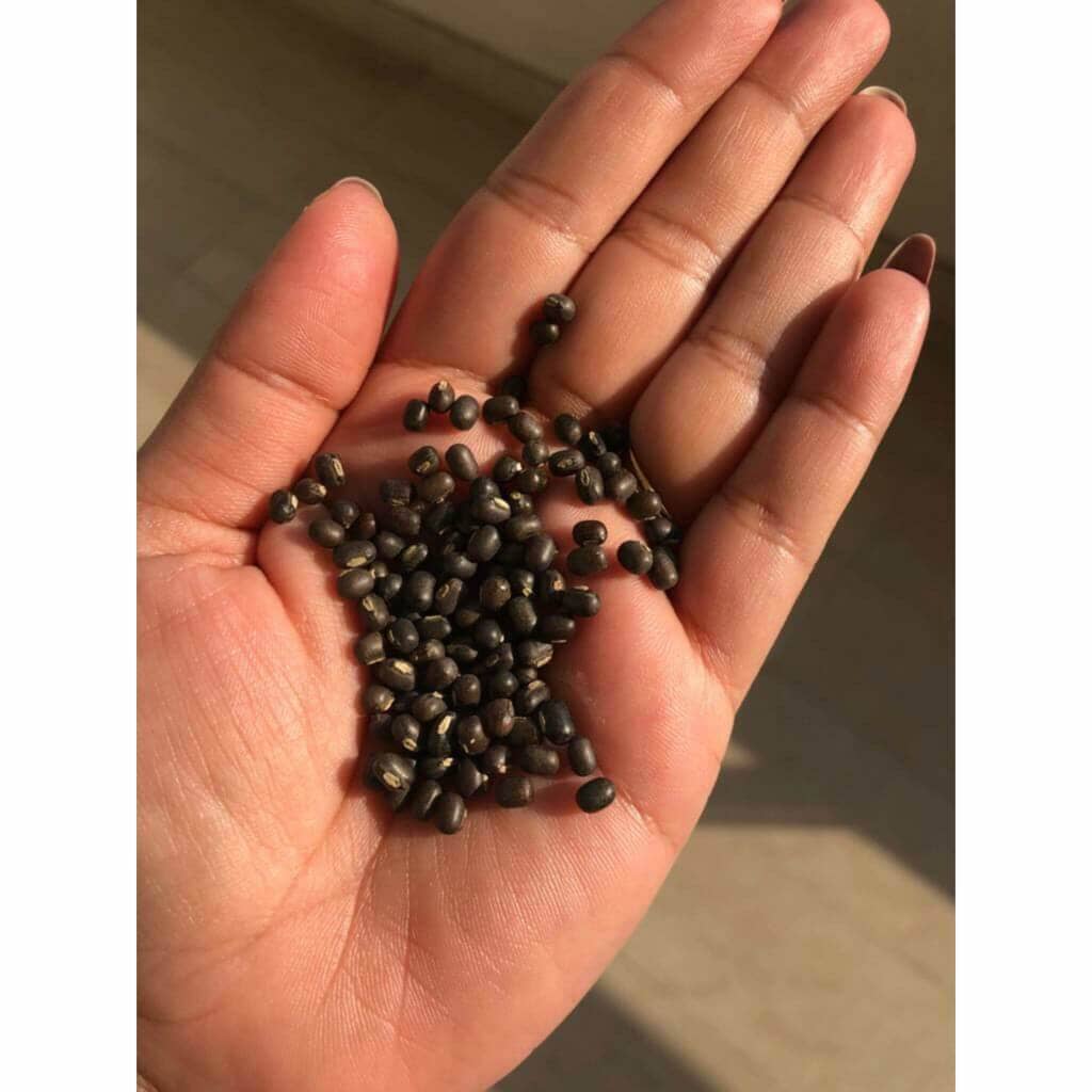 Balaayah Black Gram Bright Body Booster | With Sweet & Citrusy Aroma of Jasmine, Cardamom, Orange and Lemongrass - Image 16