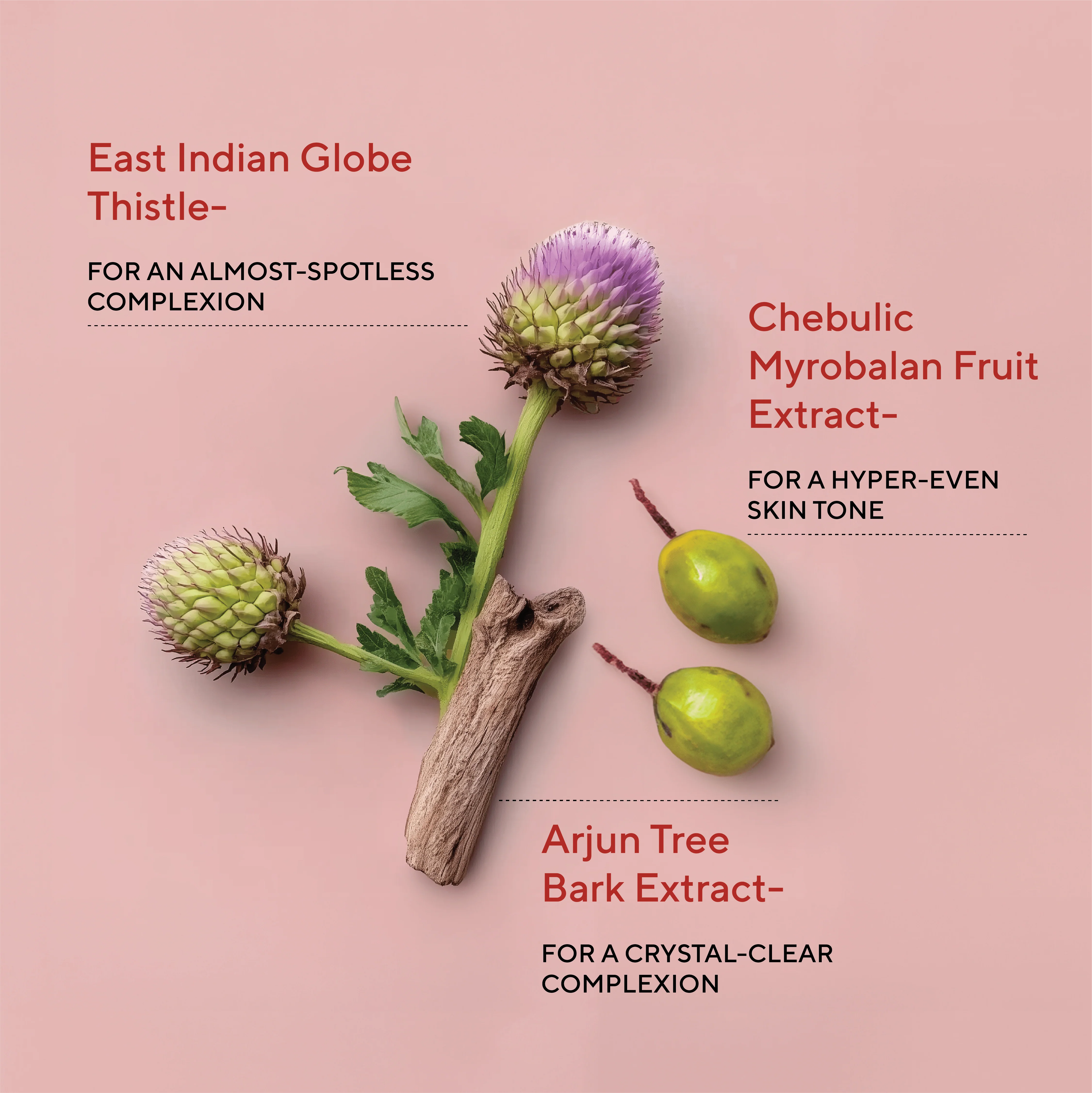 Dim N Dazzle Dark Spot Patch - Fades the Look of Stubborn Dark Spots & Patchy Discoloration— Powered with East Indian Globe Thistle, Chebulic Myrobalan, Niacinamide and Glycolic Acid— Best Dark Spot Patch For Hyper-Even, Crystal-Clear Complexion - Image 4