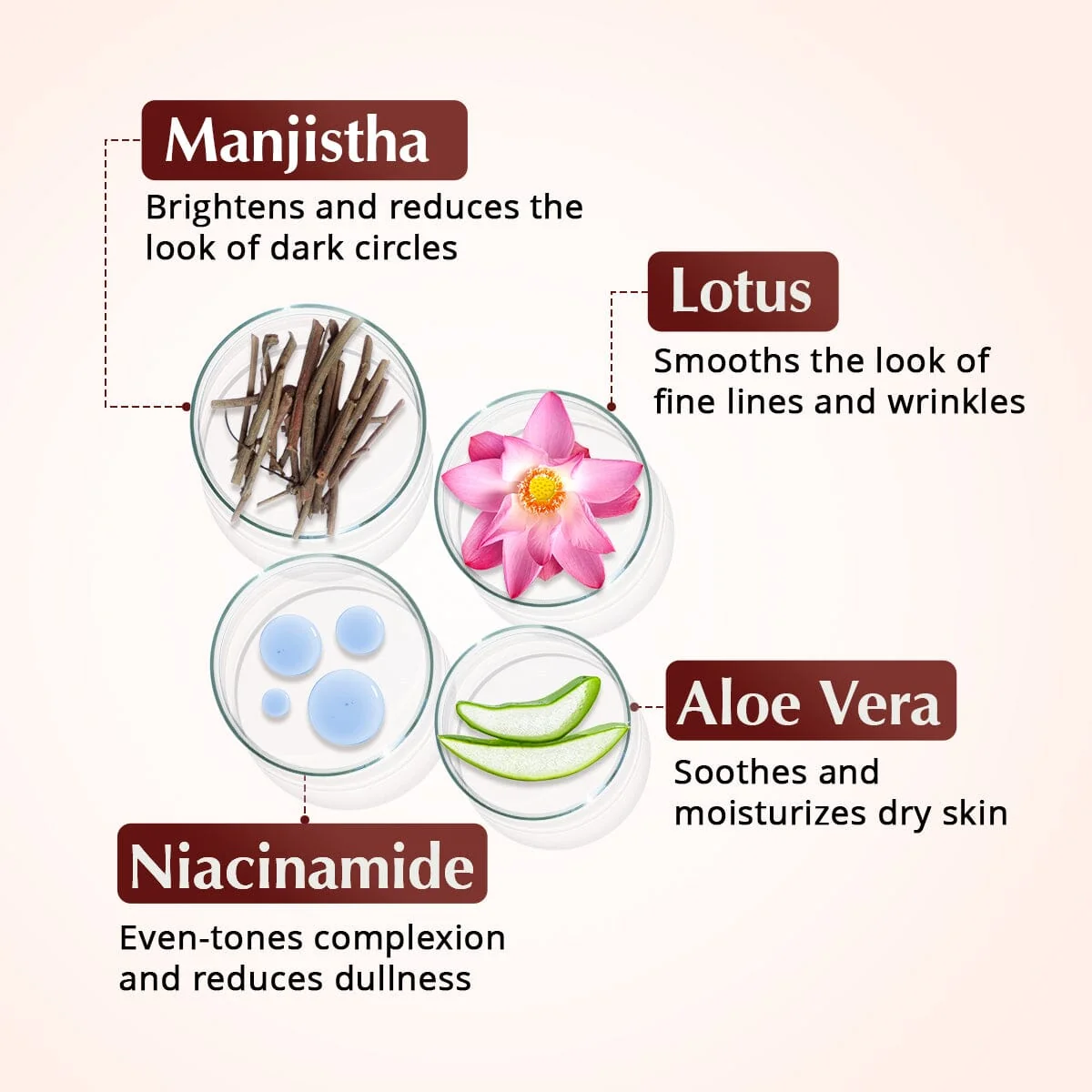 Rufolia PRO Periorbital Eyemulsion - Eye Contour Cream – Brighten, Firm and Moisturize Under-Eyes – New Formula with Manjistha, Aloe Vera, Lotus, and Niacinamide – Best Under-Eye Cream – With Clinically Tested Ingredients - Image 7