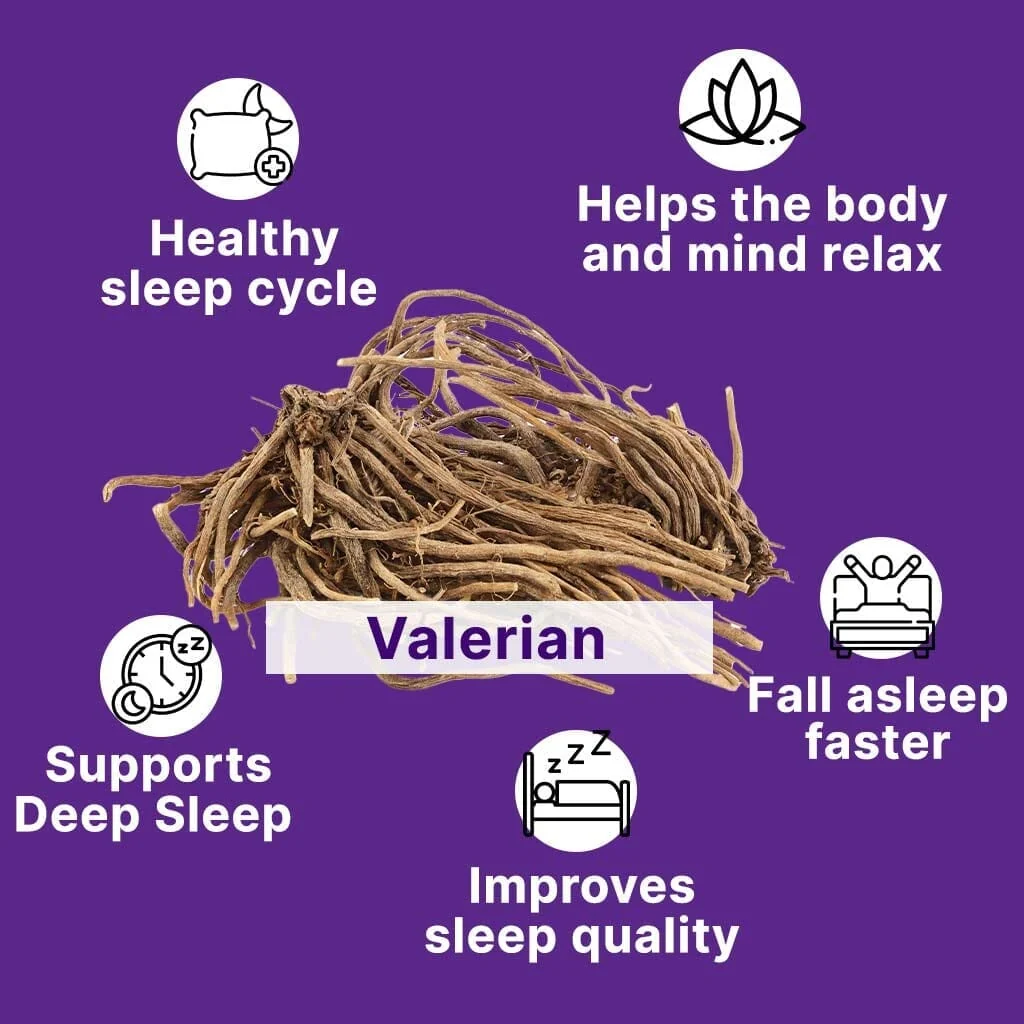 Sleep Gummies with KSM 66 Ashwagandha and Valerian Root for Blissful Sleep | Tasty Blueberry Flavor | - Image 5
