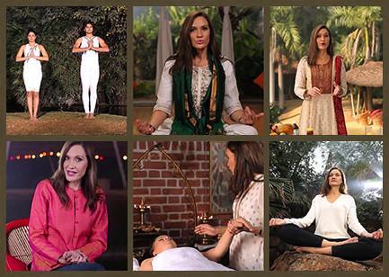 The Ayurveda Experience - Fundamentals of Ayurveda on Diet, Exercise, Meditation, Beauty and Body Work - Digital - Image 12