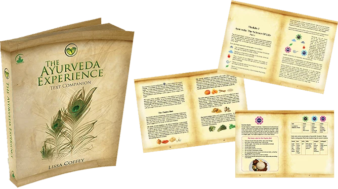 The Ayurveda Experience - Digital - Image 3