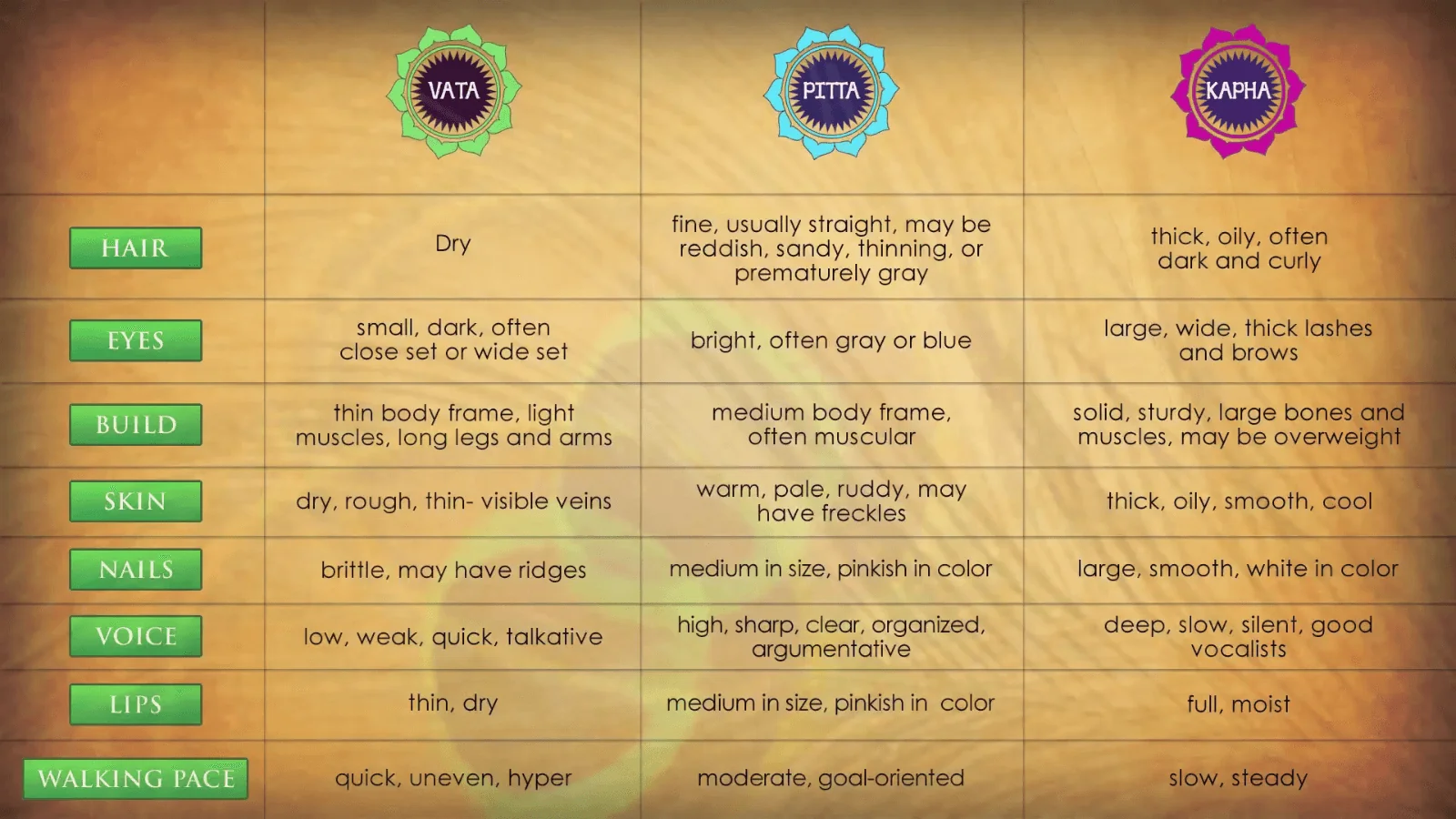 The Ayurveda Experience - Digital - Image 8